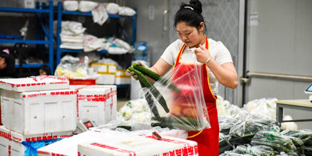 工業(yè)級行式打印機為生鮮加工中心快速打印大量物流配送多聯(lián)單據(jù)